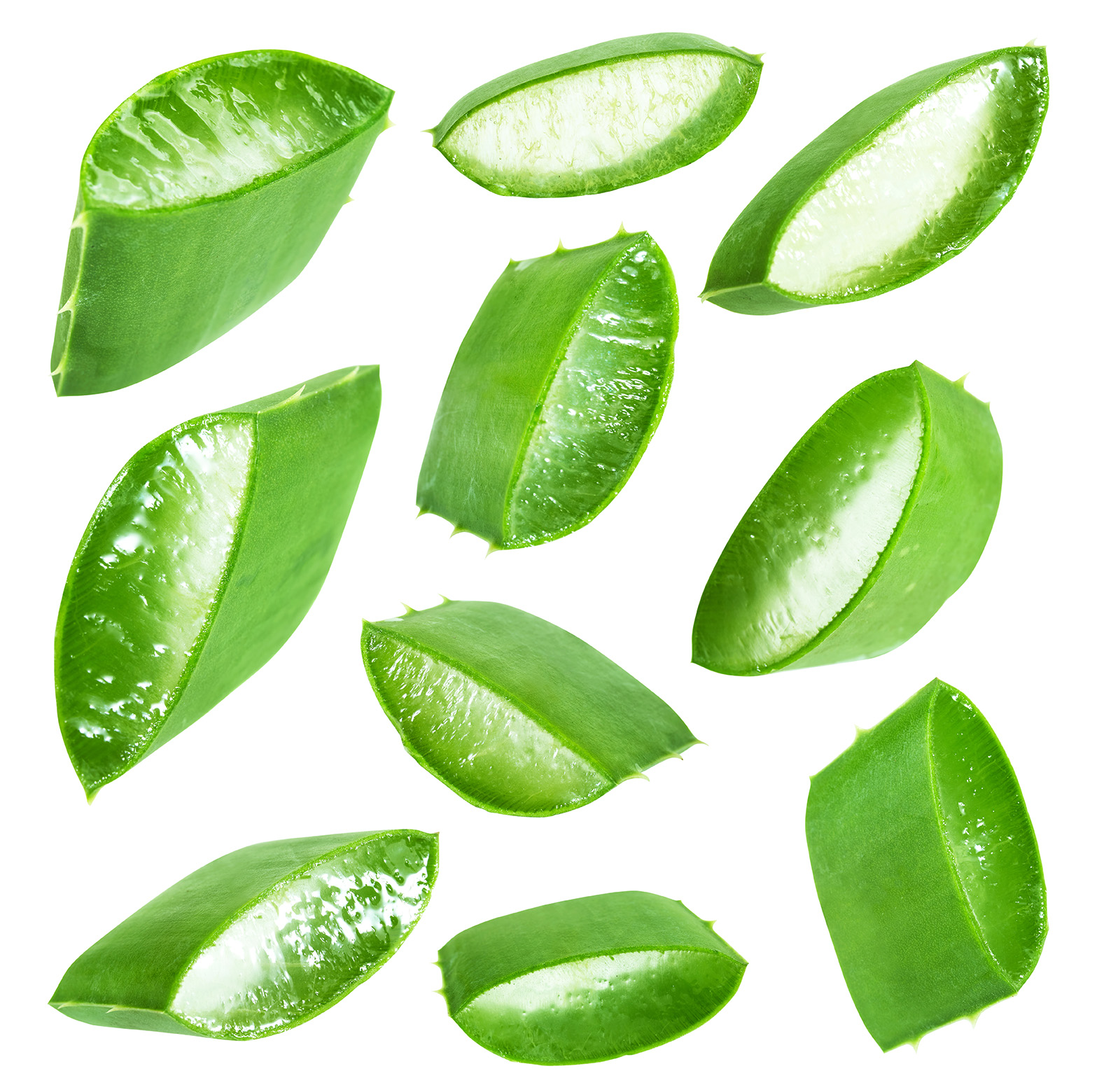 iStock-1496668965 kopie 2